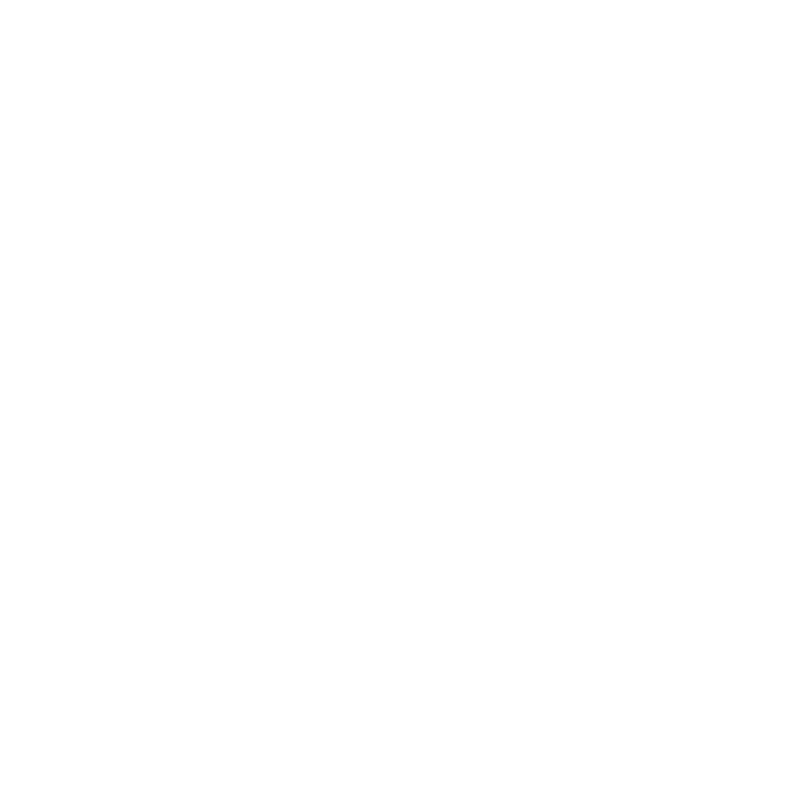 Instagram Logo White PNG